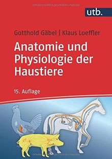 Utb gmbh anatomie und - gmbh,