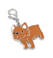 Bulldogge orange hund - bulldogge,