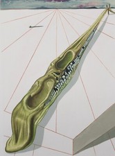 Salvador DALI : ENFER 14