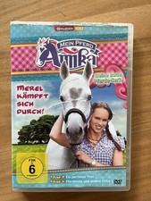 Mein Pferd Amika Merel Kämpft Sich Durch