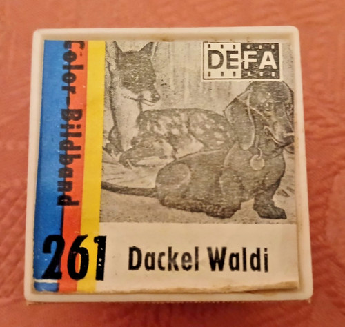 Dackel waldi rollfilm defa - rollfilm,