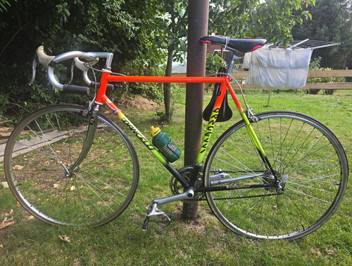 Vintage rennrad dancelli - rennrad,