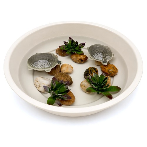Deko set mit schildkröten - set, –