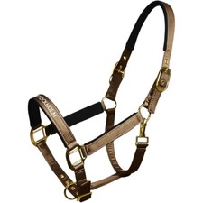 Equestrian Stockholm Champagne