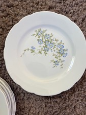 Speise-Ess-Tafel-Service für