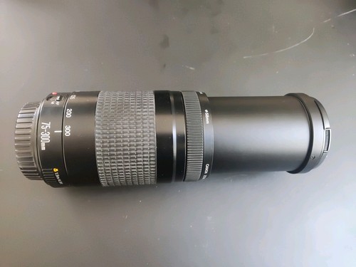 Canon 300mm 5 6 ii - ef, 1/4-5.6