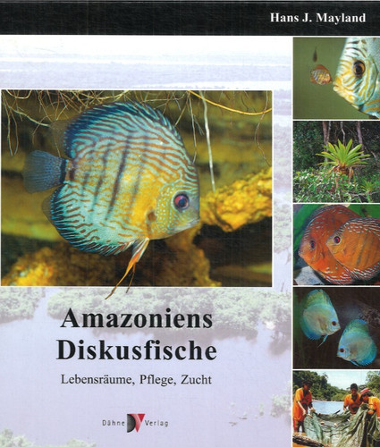 Amazoniens diskusfische hans - diskusfische-,