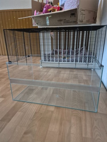Nagarium