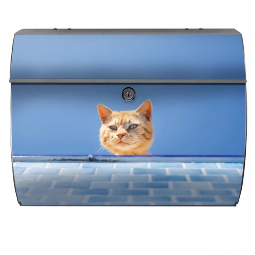 Briefkasten katze cat kitten - briefkasten,