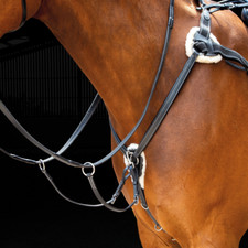 Shires Salisbury 5 Punkt