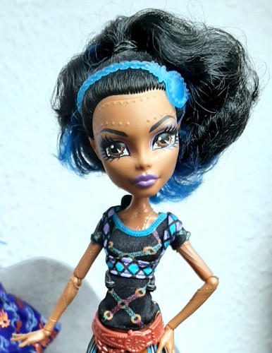 Monster high robecca - high,