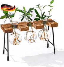 Hydroponik Glasvase Hängevase