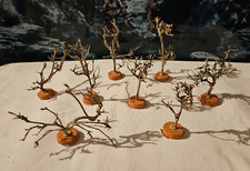 1x Nano Garnelen Dekobaum ca. 8-13cm für Nano Fische, Garnelen Krebse Aquarium