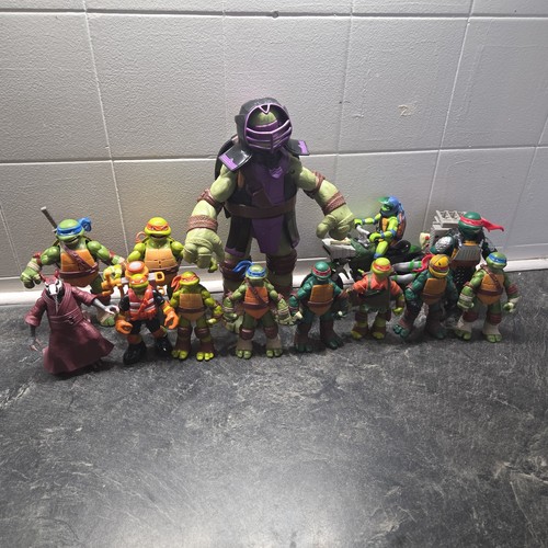 Teenage mutant ninja turtles - mutant,
