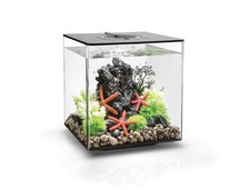 Biorb aquarium cube mcr - aquarium,
