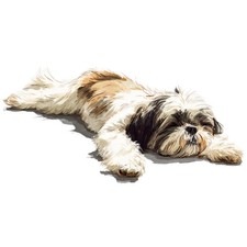4x Sticker Shih Tzu