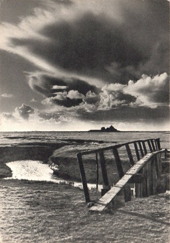 Hallig langeneß nordsee - ak,
