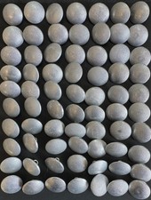 Wehrmacht, Luftwaffe