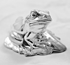 Sehr schöner Frosch auf Blatt