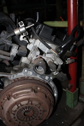Motor ohne anbauteile duratec - ohne,