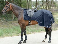Busse Ausreitdecke RAINTRAINER