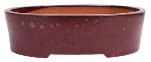 Bonsai schale oval - -, x