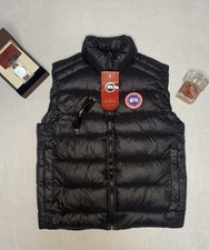 Canada goose crofton - goose,