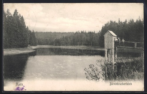 Buntenbock harz - buntenbock, /harz