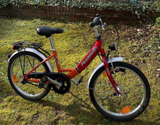Pegasus Kinder-Cityrad 20 Zoll