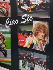 Sonnenbrille Zerorh+ Limited