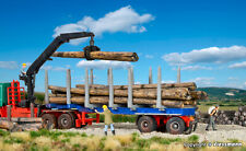 Kibri 12250 Spur H0 - DOLL