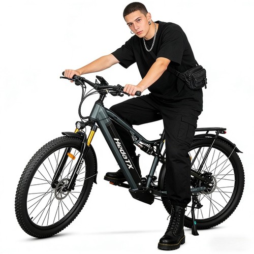 Elektrofahrrad 1000wcity ebike - elektrofahrrad,