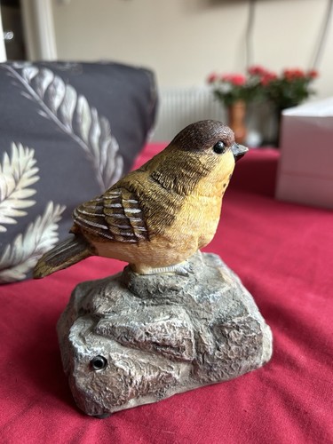 Garten singvogel auf dem - garten,