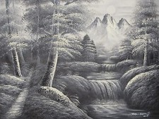 Schwarz Weiß Landschaft