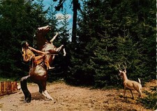 Wambach Bad Schwalbach Taunus Taunus Wunderland Jagd auf Deer