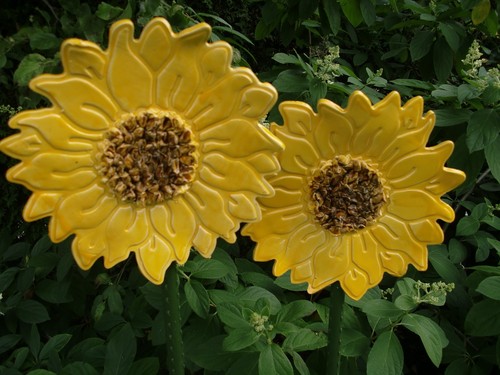 Stück sonnenblumen unikat - sonnenblumen,