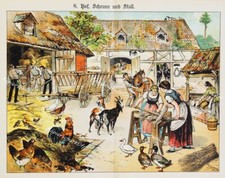 Bauer Bauernhof Stall Hahn