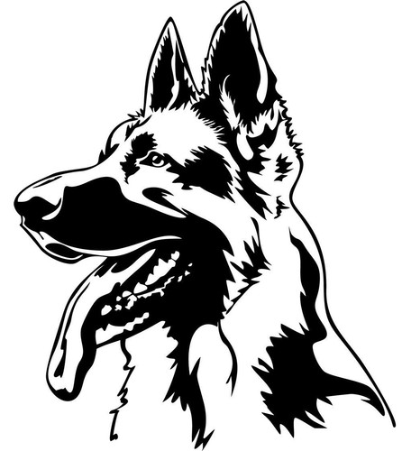 Deutscher schäferhund - deutscher,