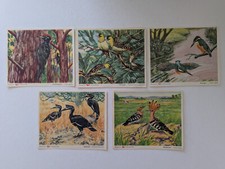 5 Stück Margarine Voss