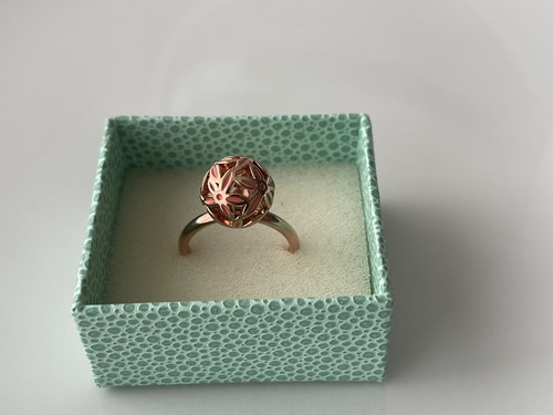 Pierre lang ring - *, *