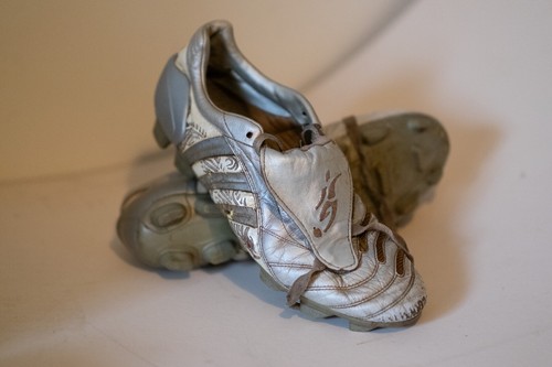 Adidas predator pulse dragon - predator,