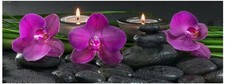 Glasbild 80x30cm wandbild aus - wandbild,