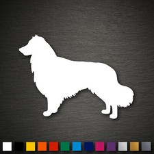 14230 Australian Shepherd