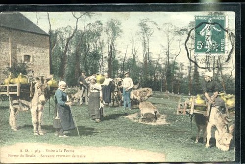 Bessin calvados ferme - la,