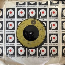 The Ramones  . Sheena Is A