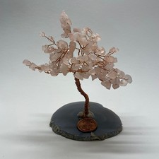 !!! Echter Feng Shui