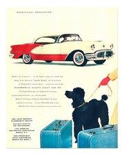 Vintage Auto und Hund Poster