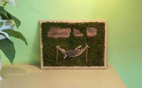 Moosbild steinbild geniesse - steinbild,