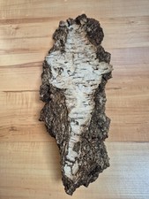 Rinde ausgefallen extravagant