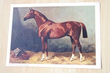 Pferd Postkarte Draft Horse Postcard CPA Cheval AK Gemälde Vollblut
